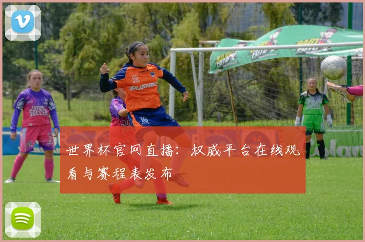 世界杯官网直播:权威平台在线观看与赛程表发布