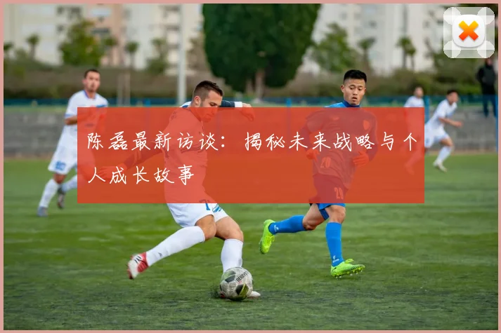 陈磊最新访谈：揭秘未来战略与个人成长故事